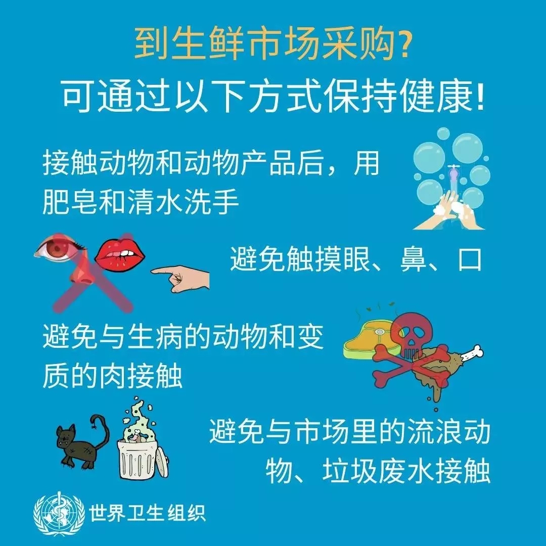 森林舞会官网 | 共克时艰、、遏制疫情，请相信国度力量！