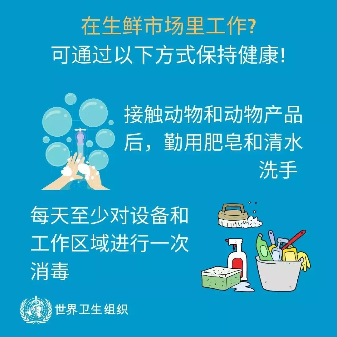 森林舞会官网 | 共克时艰、、遏制疫情，请相信国度力量！