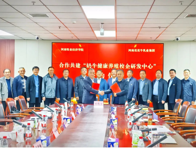 丛林舞会(中国)游戏官网